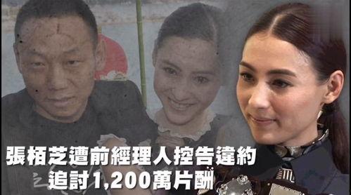 娛樂性吃瓜,揭秘明星們的“吃瓜”大作戰(zhàn)