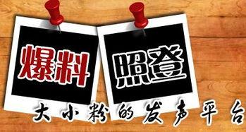 白銀新聞爆料,最新爆料揭示行業(yè)動態(tài) 第3張 白銀新聞爆料,最新爆料揭示行業(yè)動態(tài) 第3張