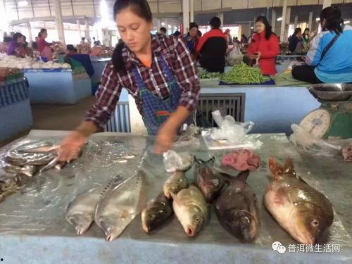 免費吃瓜叫賣視頻,視頻直播帶你一探究竟 第3張 免費吃瓜叫賣視頻,視頻直播帶你一探究竟 第3張