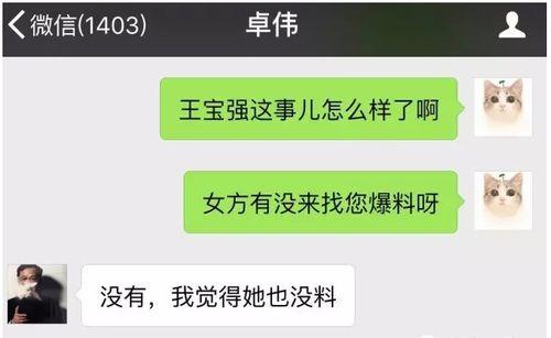 最新爆料熱門視頻,最新爆料背后的驚人真相