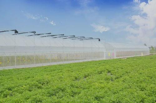 農場最新爆料,最新爆料揭示農業產業變革新動向 第3張 農場最新爆料,最新爆料揭示農業產業變革新動向 第3張