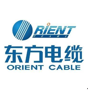 東方電纜最新爆料,揭秘行業(yè)新動態(tài)與技術(shù)創(chuàng)新