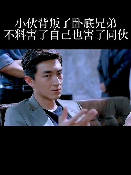 叛逆臥底在線觀看,臥底風(fēng)云，揭秘臥底背后的驚心動(dòng)魄