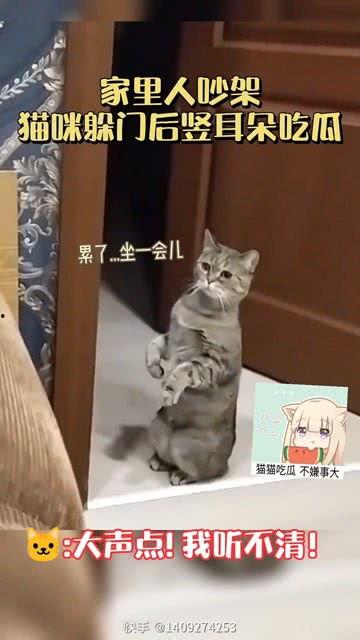 三人逗貓吃瓜視頻大全免費觀看,免費觀看視頻大全來襲！  第1張